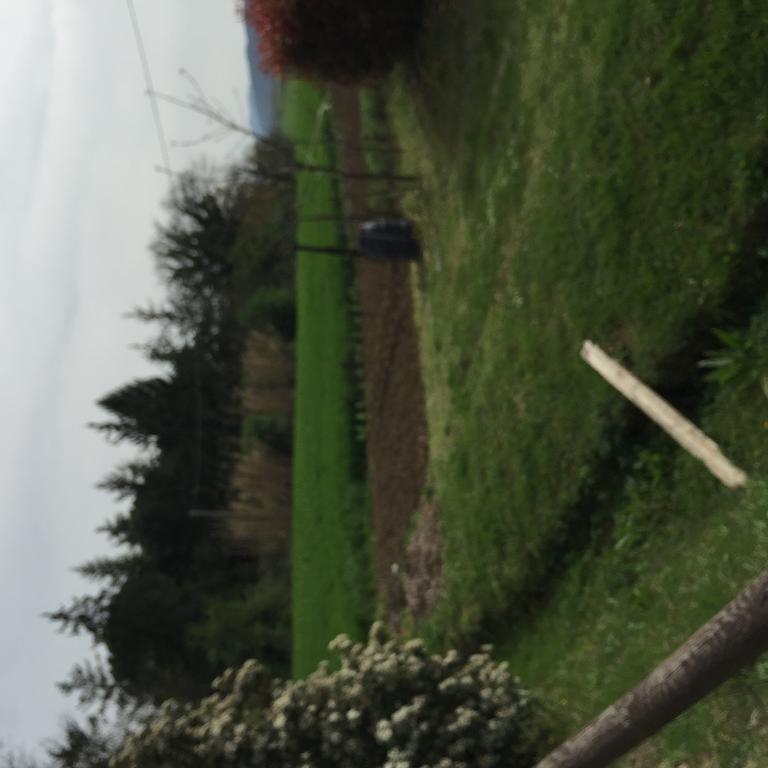 Azienda Agrituristica I Tre Casali マジョーネ エクステリア 写真