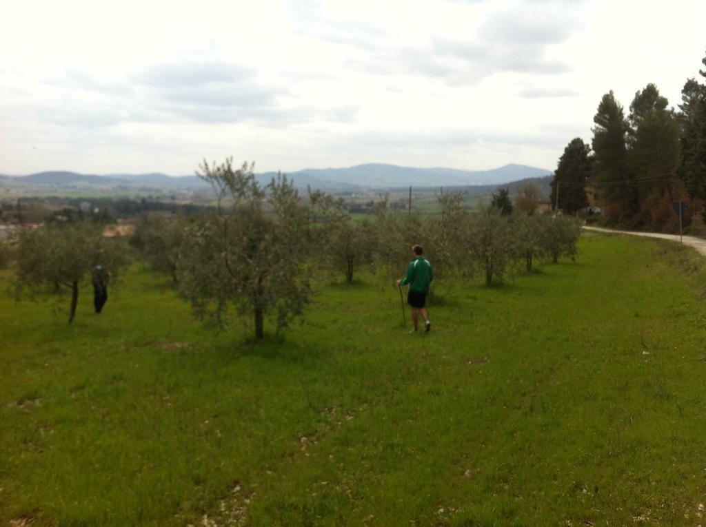 Azienda Agrituristica I Tre Casali マジョーネ 部屋 写真