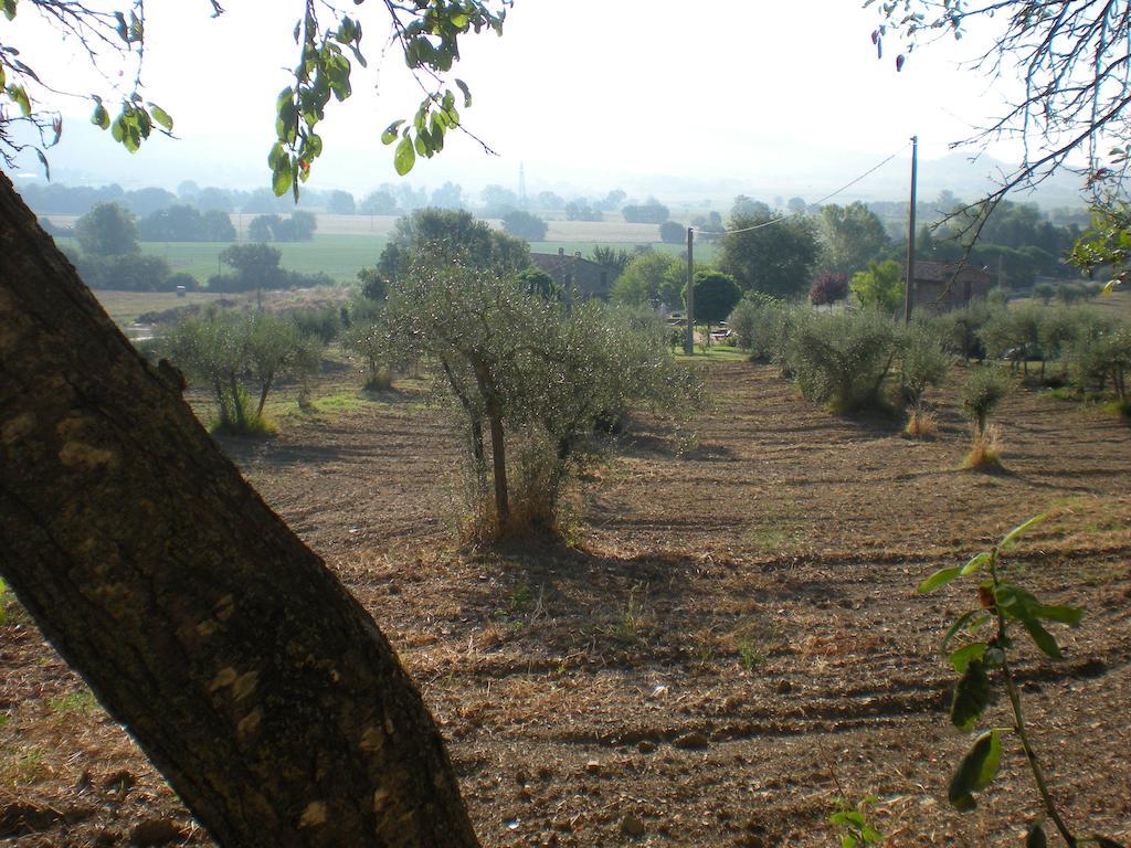 Azienda Agrituristica I Tre Casali マジョーネ エクステリア 写真