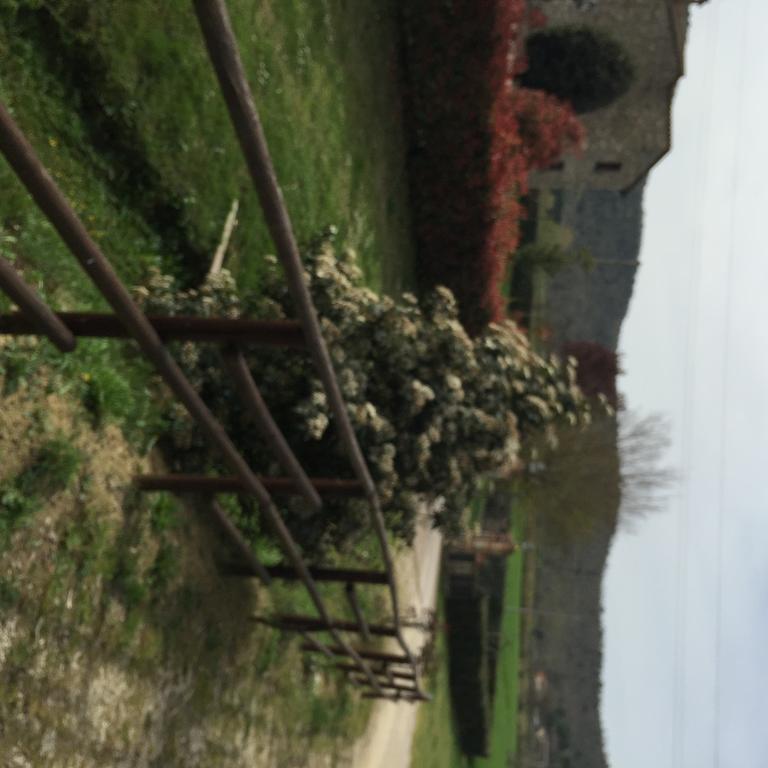 Azienda Agrituristica I Tre Casali マジョーネ エクステリア 写真
