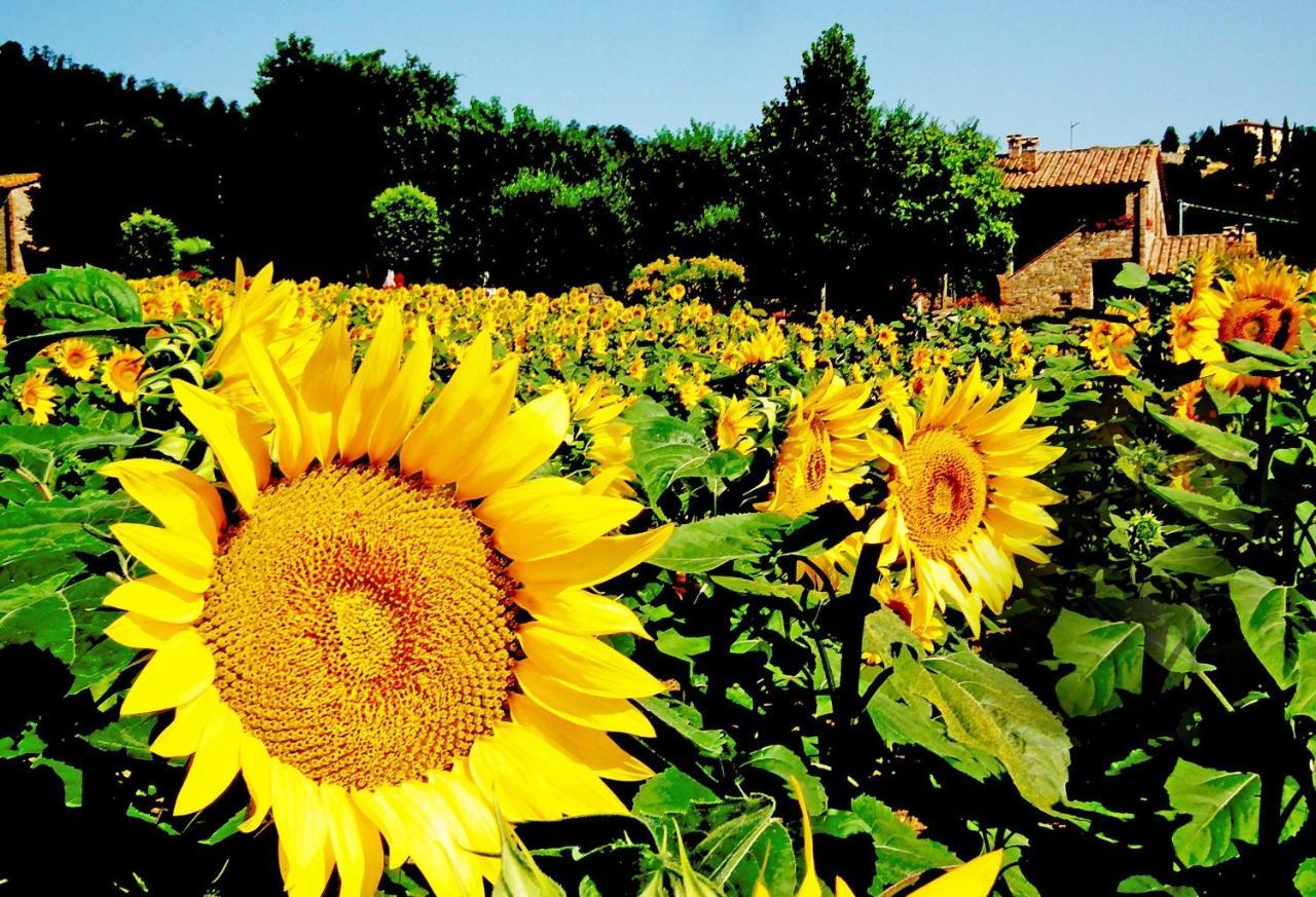 Azienda Agrituristica I Tre Casali マジョーネ エクステリア 写真